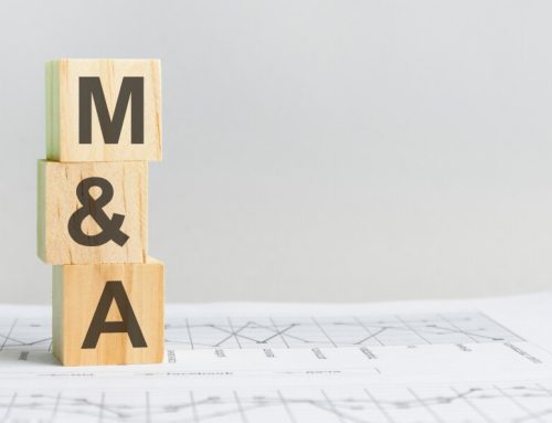 The buyer’s best consultant on M&A is you