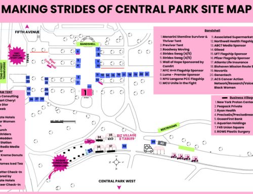 Accountants United to End Cancer Council to converge in Central Park